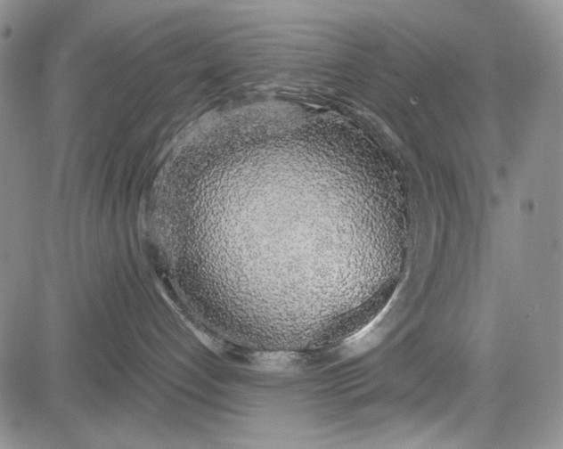 X0000081600192200702051338