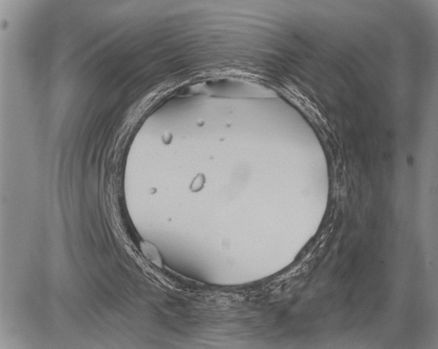 X0000081600193200702051338