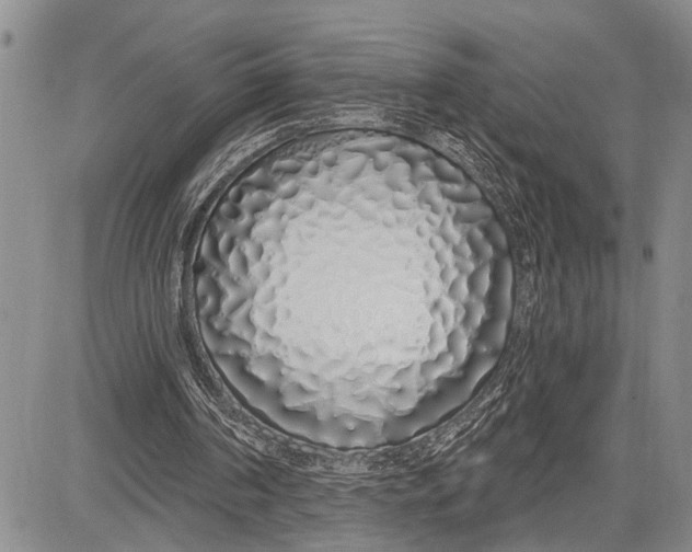 X0000081600194200702051338