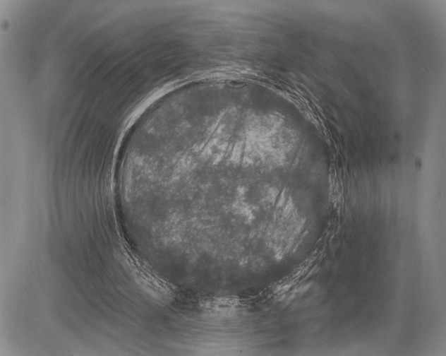 X0000081600196200702051338