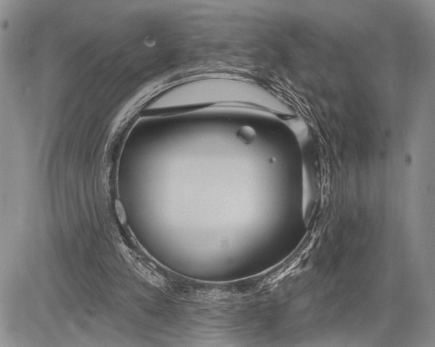 X0000081600197200702051338