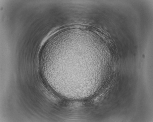 X0000081600198200702051338