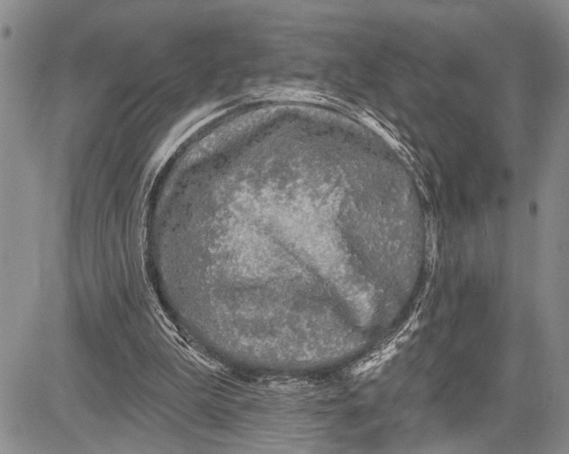 X0000081600199200702051338