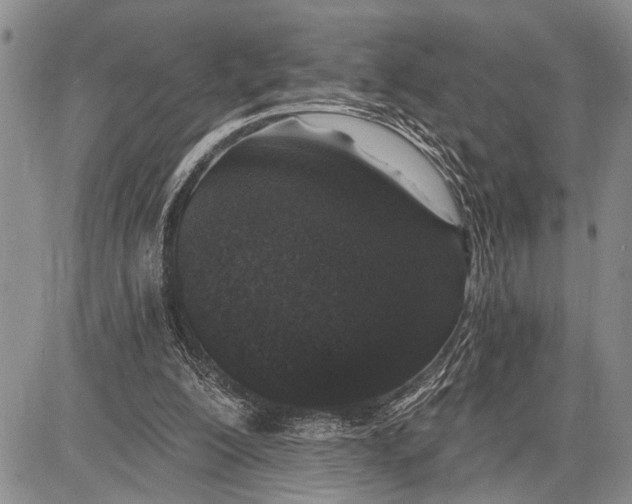 X0000081600200200702051338