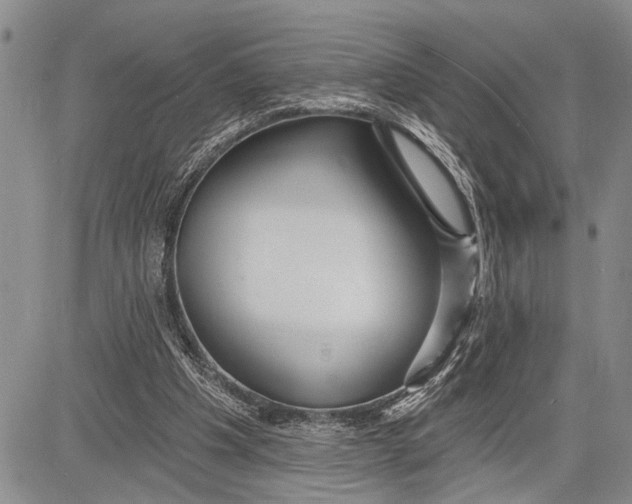 X0000081600201200702051337