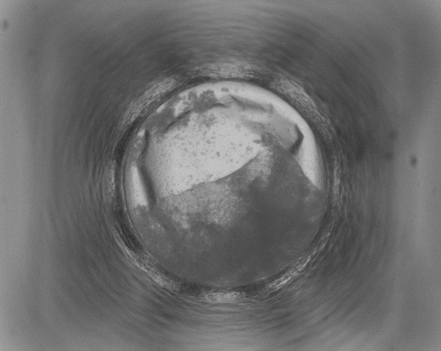 X0000081600202200702051337