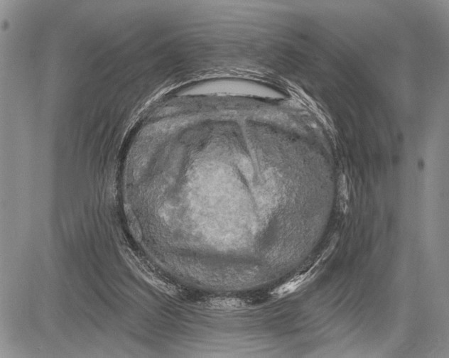 X0000081600203200702051337