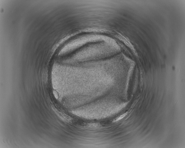 X0000081600204200702051337