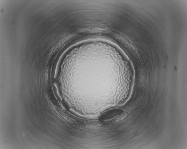 X0000081600206200702051337