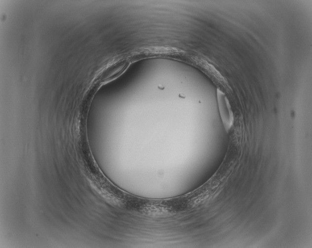 X0000081600207200702051337