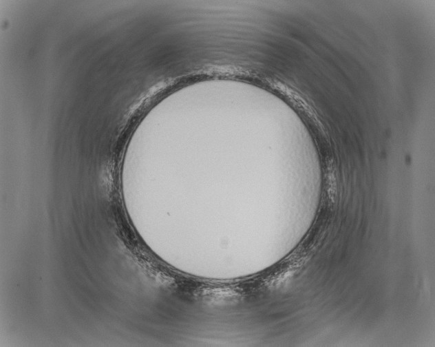 X0000081600208200702051337