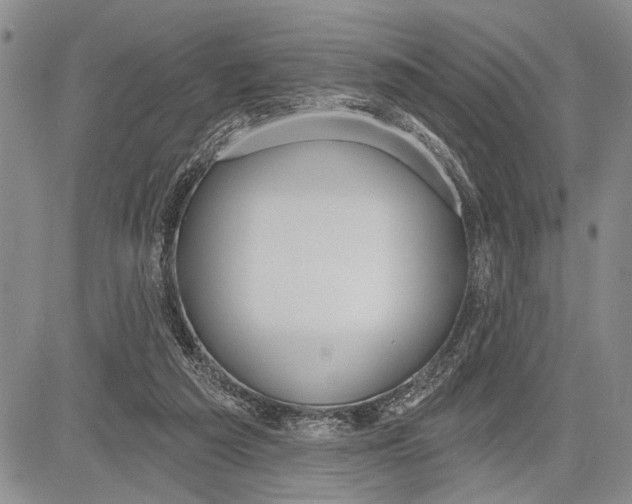 X0000081600209200702051337