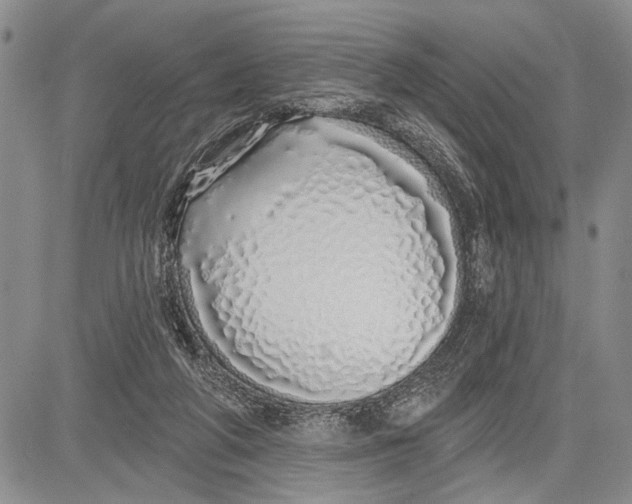 X0000081600210200702051337