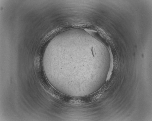 X0000081600211200702051337