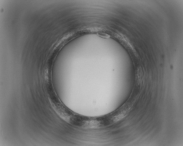 X0000081600212200702051337