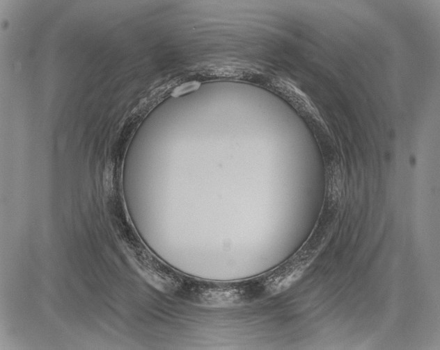 X0000081600213200702051337