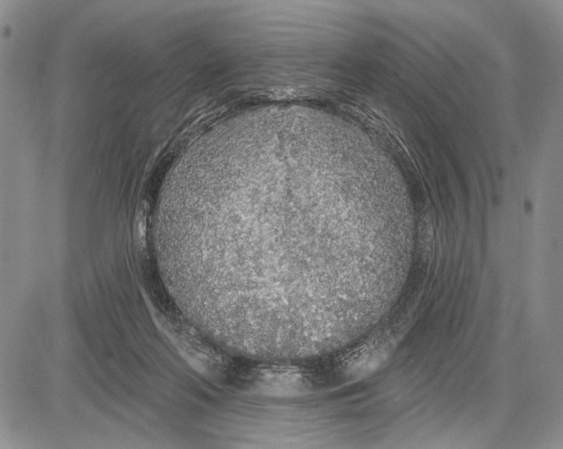 X0000081600214200702051337