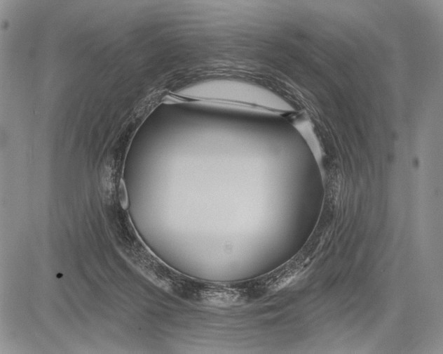 X0000081600215200702051337