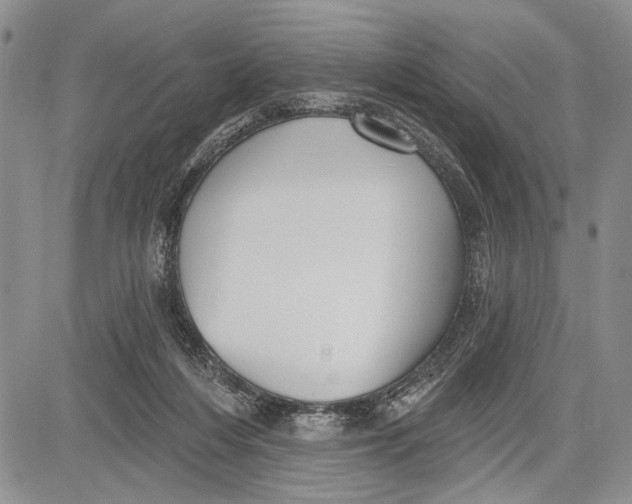 X0000081600216200702051337