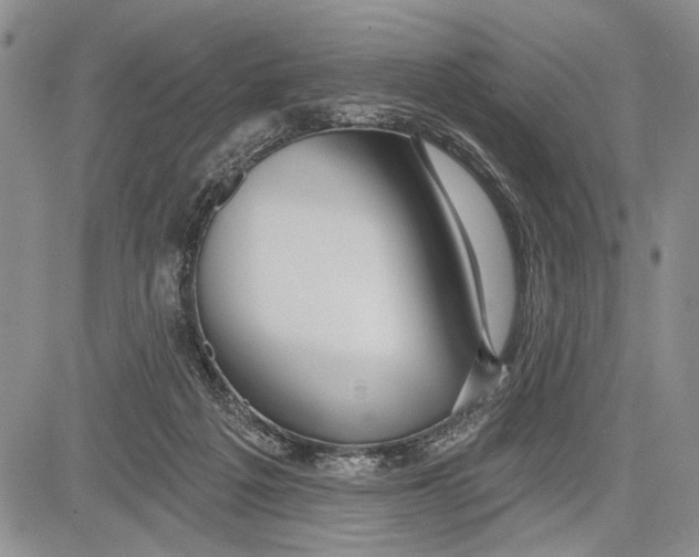 X0000081600217200702051337