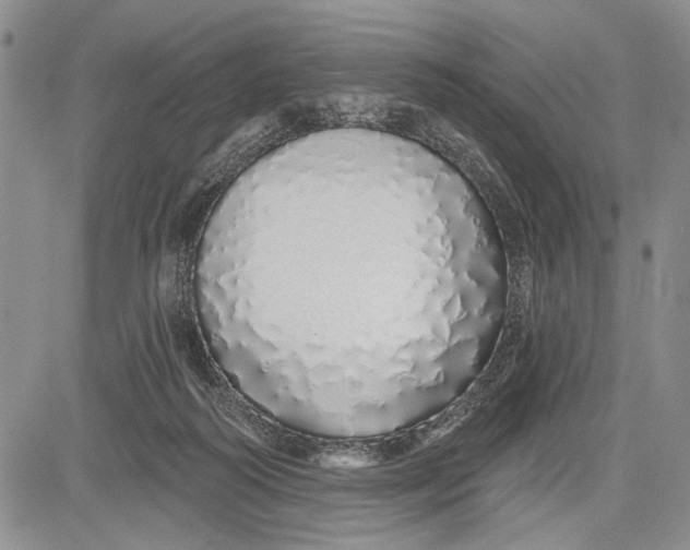 X0000081600218200702051337