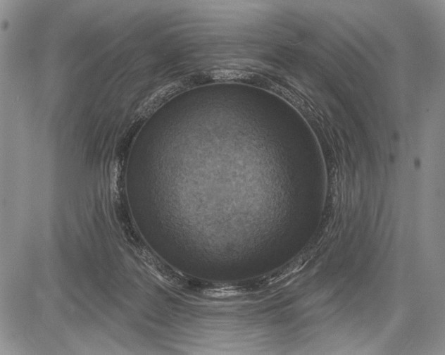 X0000081600219200702051337