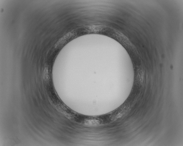 X0000081600220200702051337