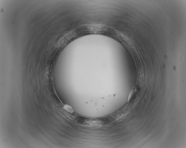 X0000081600221200702051337