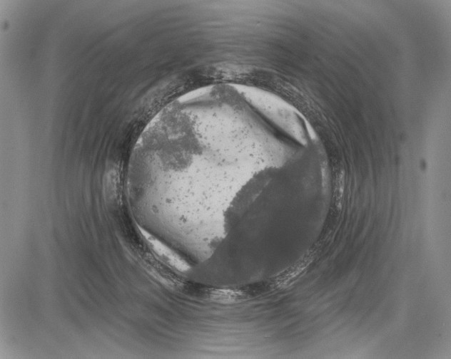 X0000081600222200702051337