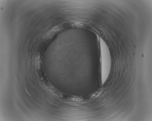 X0000081600223200702051337