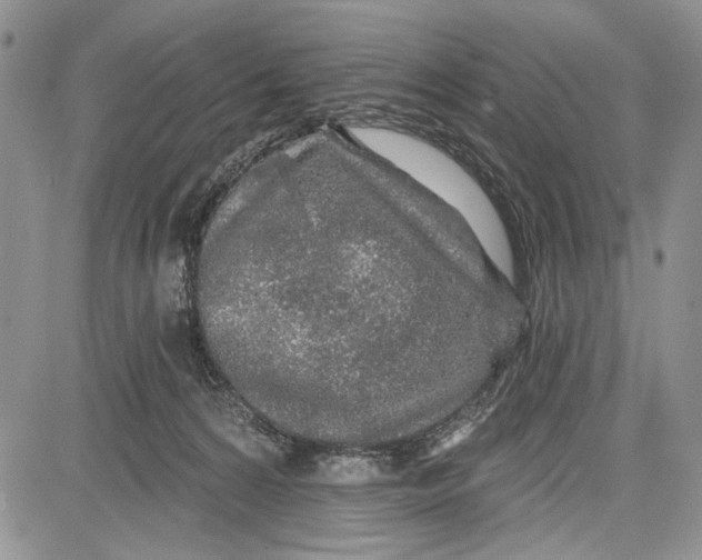 X0000081600224200702051337