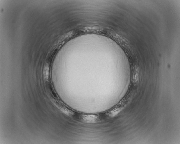 X0000081600226200702051337