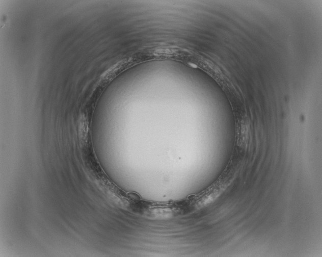 X0000081600228200702051337