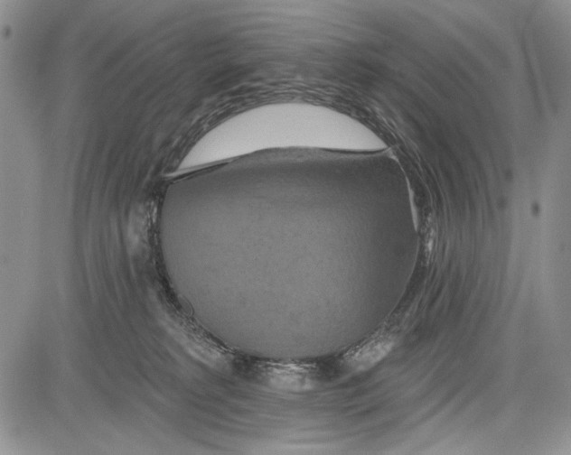 X0000081600229200702051337