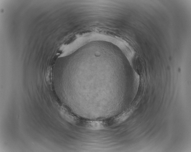 X0000081600233200702051337