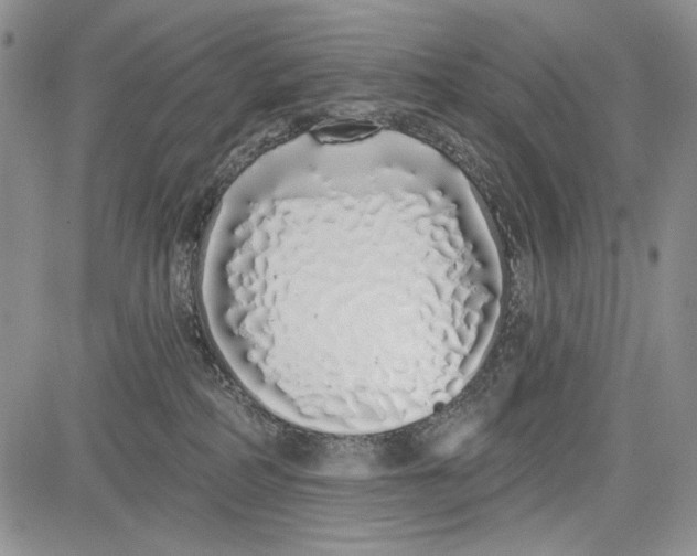 X0000081600234200702051337