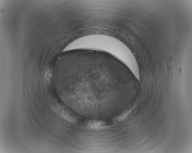 X0000081600235200702051337