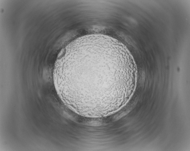 X0000081600236200702051337