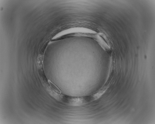 X0000081600237200702051337