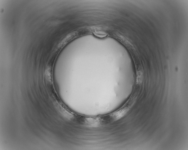 X0000081600238200702051337