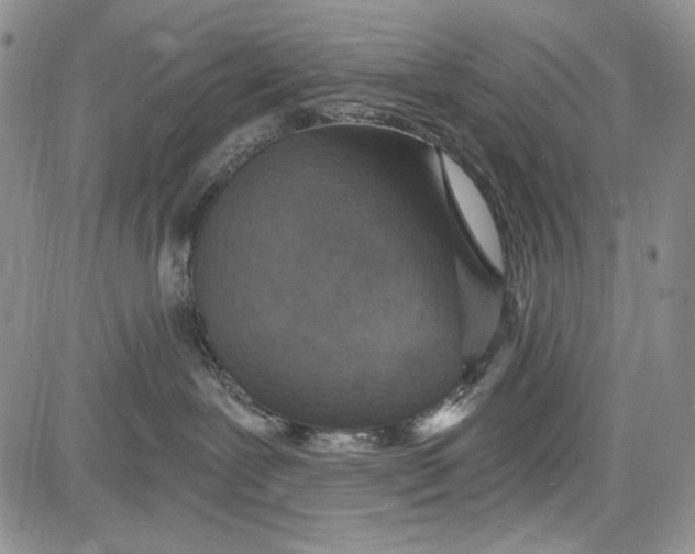 X0000081600239200702051337