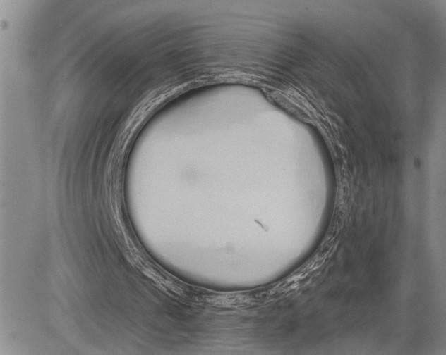 X0000081600241200702051336