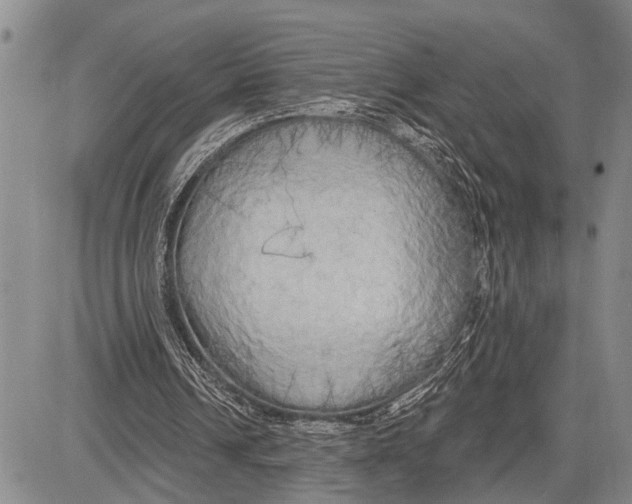 X0000081600242200702051336