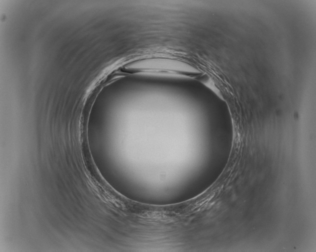 X0000081600244200702051336