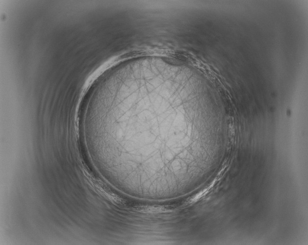 X0000081600246200702051336