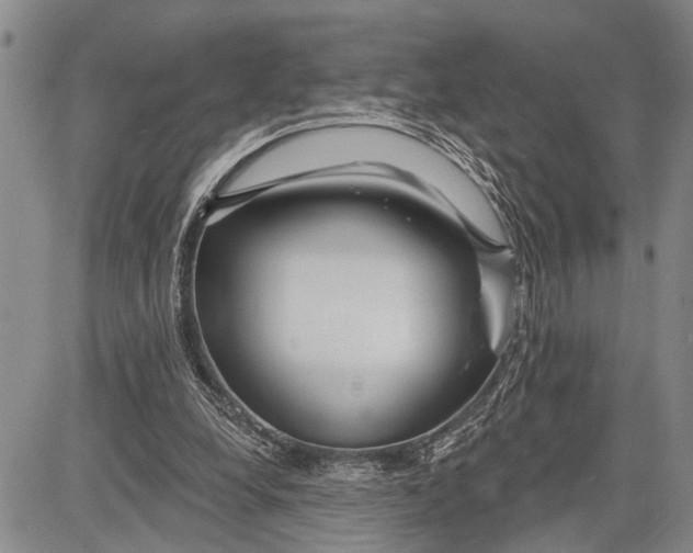 X0000081600248200702051336