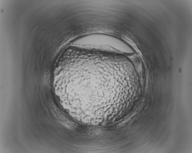 X0000081600249200702051336