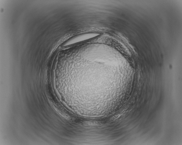 X0000081600250200702051336