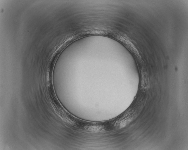 X0000081600251200702051336