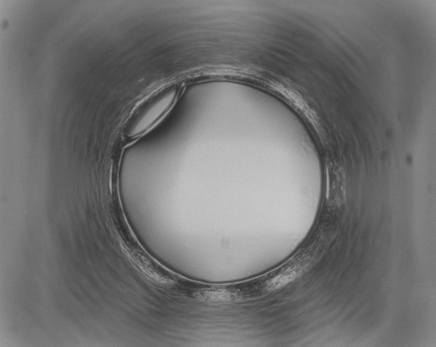 X0000081600253200702051336